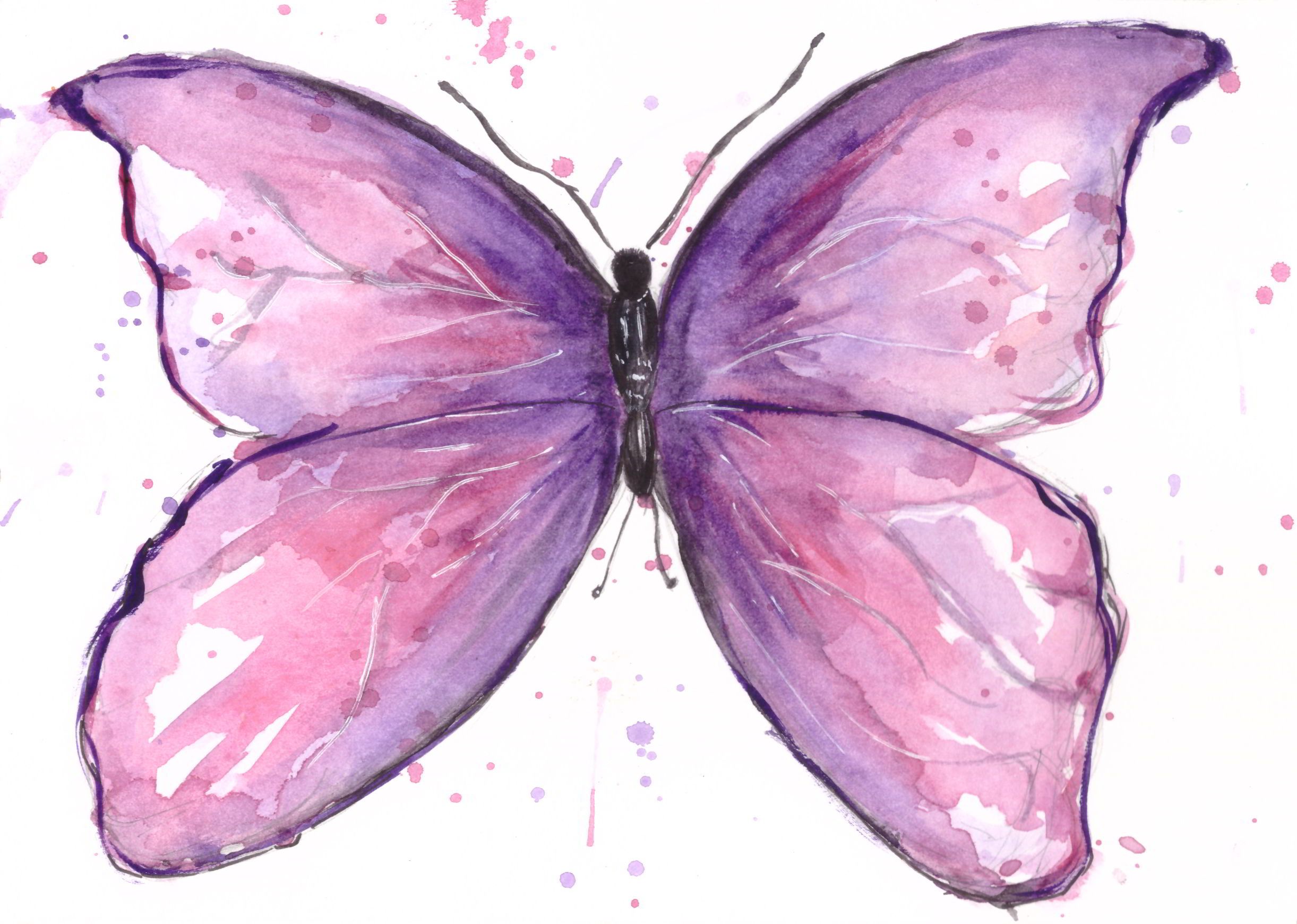 Acuarela - Mariposa Morada